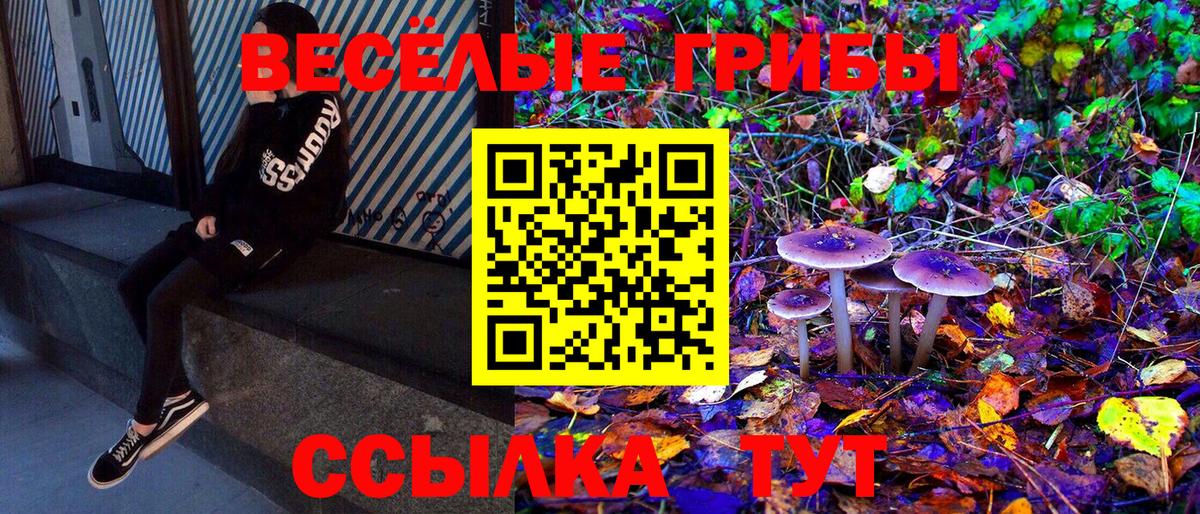 Галлюциногенные грибы Cubensis Междуреченск