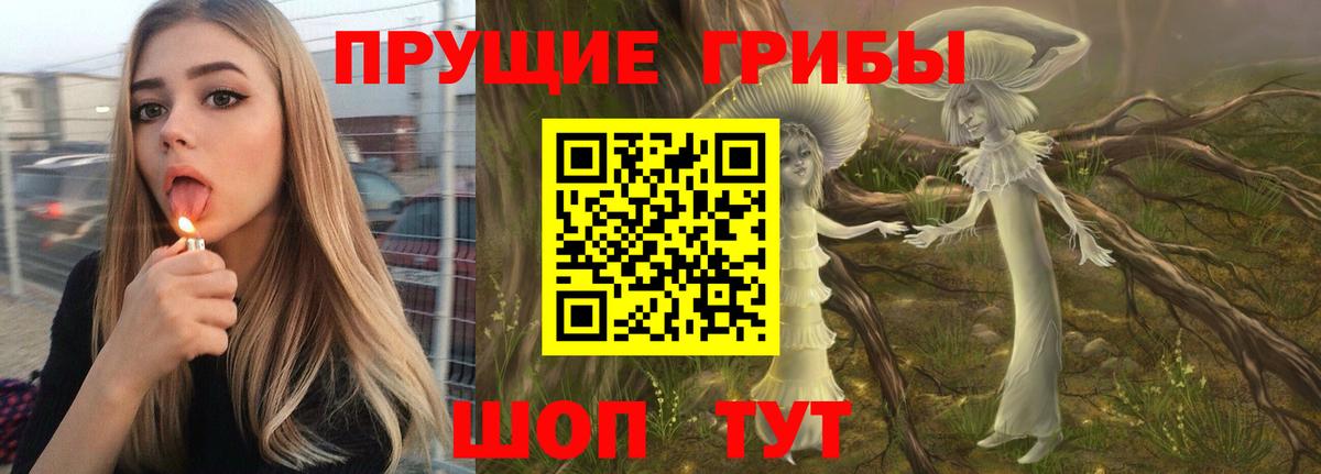 Междуреченск  Галлюциногенные грибы прущие грибы  Вход с VPN 